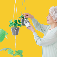 Collection image for: Makkelijke Planten