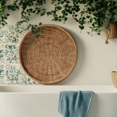 Collection image for: Badkamerplanten