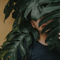 Collection image for: Kunstplanten