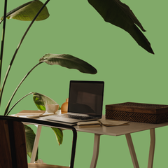 Raemo Kantoor Planten