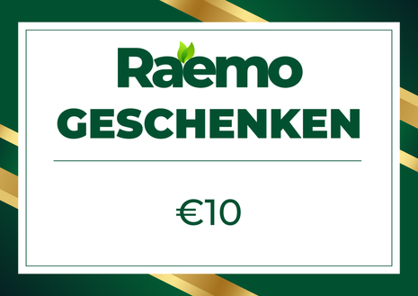 Raemo Gifts - Kamerplant