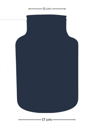 Frosty Kerstmis terrarium - Planten terrarium  DIY kit Christmas -  -  Ø 17 cm ↑ 25 cm