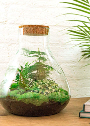 DIY Terrarium Set - Creëer Je Eigen Mini-Jungle