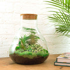 DIY Terrarium Set - Creëer Je Eigen Mini-Jungle