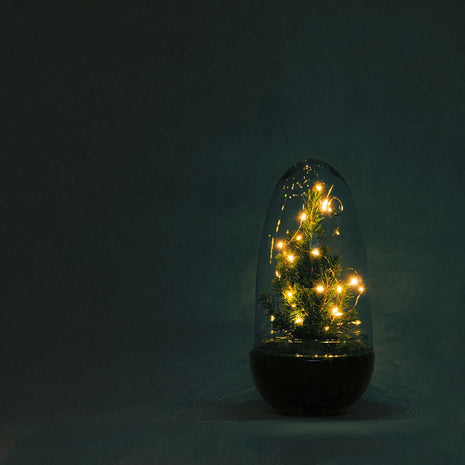 DIY Terrarium - Egg Christmas - 25cm - Kerst Decoratie