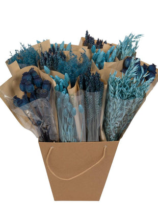 Droogbloemen - Dried Mono Mix - Blue - ↕50cm