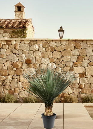 Yucca 90cm - Sterke Kamerplant