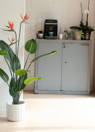Strelitzia met bloemen - 120cm - In zwarte pot - Kunstplant