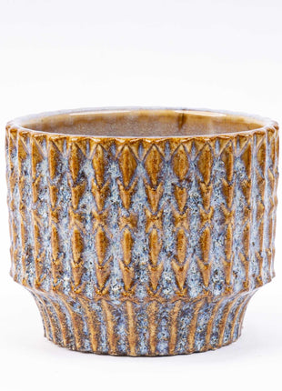 Kerstboom Ellwoodii - Met Pot Echo - 25-30cm - Kant en Klaar