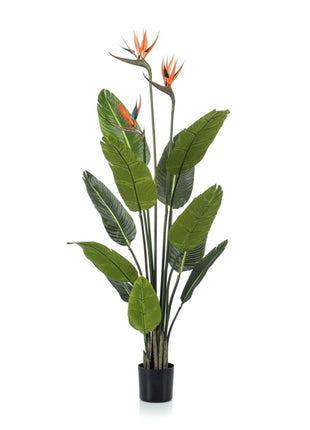 Strelitzia met bloemen - 120cm - In zwarte pot - Kunstplant