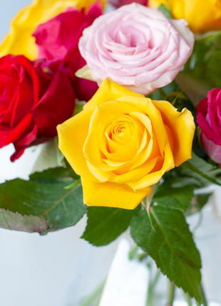 Colorful Roses - brievenbusboeket kleurrijk