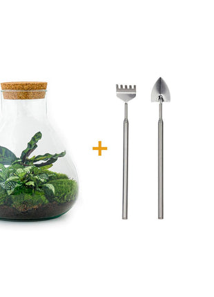DIY Terrarium Set - Creëer Je Eigen Mini-Jungle