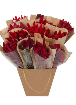 Droogbloemen - Dried Mono Mix - Red - ↕50cm