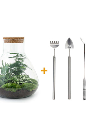 DIY Terrarium Set - Creëer Je Eigen Mini-Jungle
