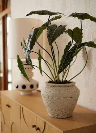 Alocasia 80cm - Kunstplant