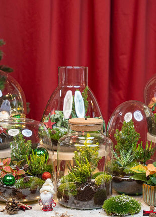 Holly Christmas terrarium - Bottle garden DIY kit - Ø 29 cm ↑ 30