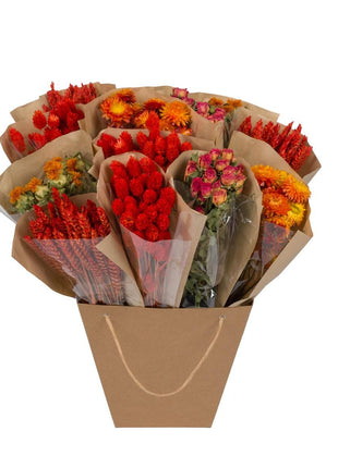 Droogbloemen - Dried Mono Mix - Orange - ↕50cm