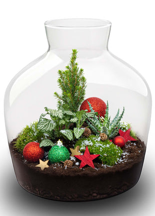 Holly Christmas terrarium - Bottle garden DIY kit - Ø 29 cm ↑ 30