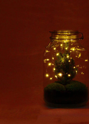 DIY Terrarium - Jar Christmas - 28cm - Kerst Decoratie