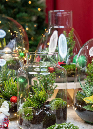 Berry Kerstmis terrarium - Planten terrarium  - DIY kit Christmas - Ø 19 cm ↑ 20 cm