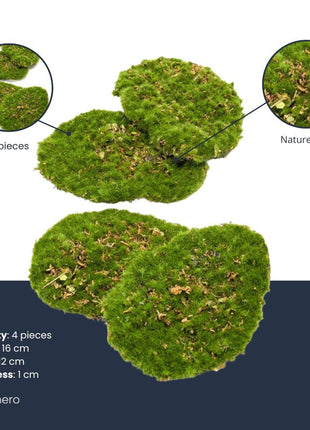 Mosplaat – Groen mos – Set van 4 – Kunstmos