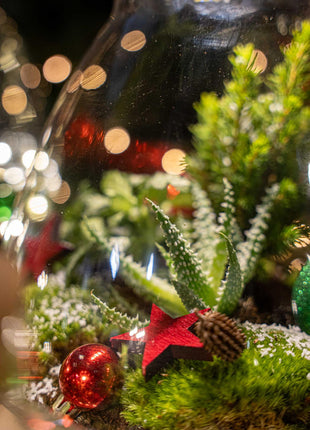 Frosty Kerstmis terrarium - Planten terrarium  DIY kit Christmas -  -  Ø 17 cm ↑ 25 cm