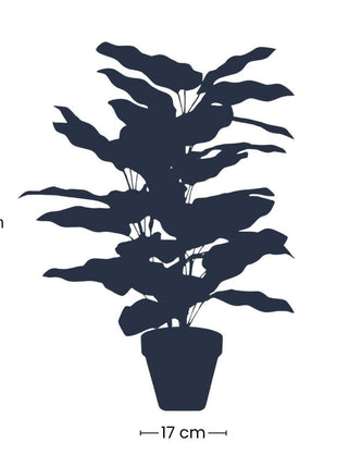 Calathea in pot - 65 cm hoog - Kunstplant