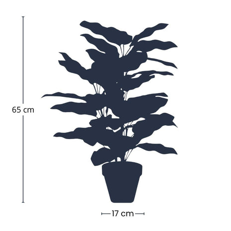 Calathea in pot - 65 cm hoog - Kunstplant
