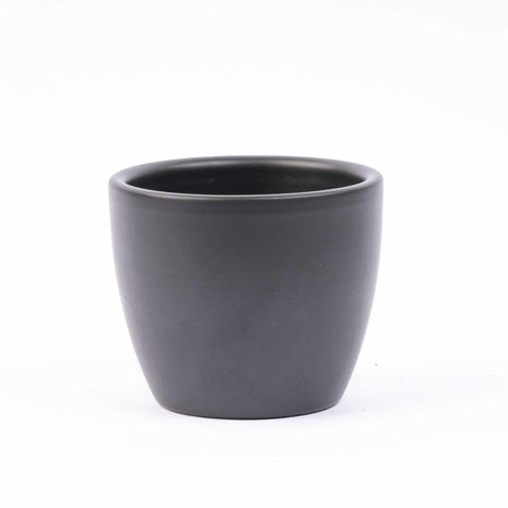 Mini - kerstboom set 3 - inclusief Boule Antraciet pot