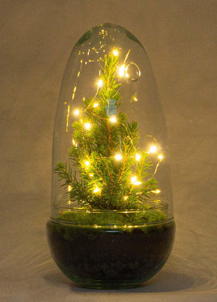 DIY Terrarium - Egg Christmas - 25cm - Kerst Decoratie