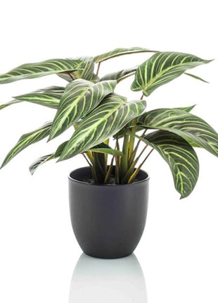 Calathea Zebrina in zwarte pot - 42 cm hoog - Kunstplant