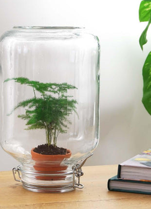 Easyplant - Zelfvoorzienende Kamerplant in Gesloten Ecosysteem