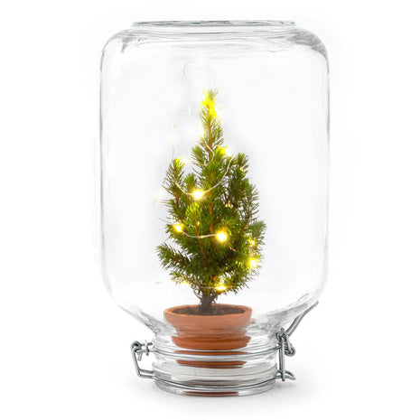 Easyplant - Christmas - Kerst decoratie - ↕ 28 cm