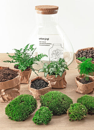 DIY Terrarium Set - Creëer Je Eigen Mini-Jungle