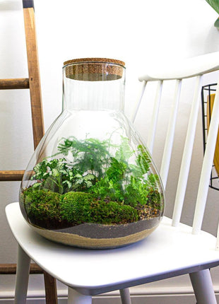 DIY Terrarium Set - Creëer Je Eigen Mini-Jungle