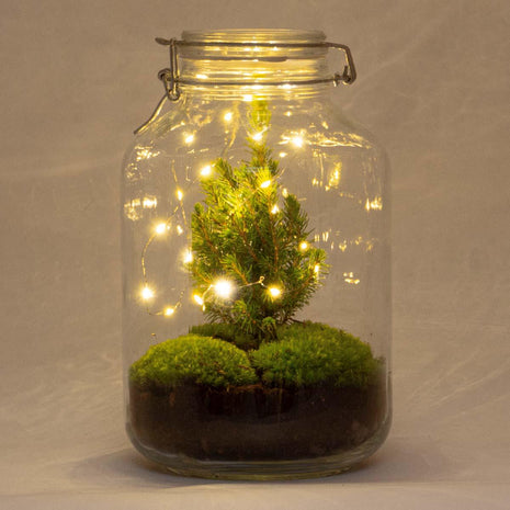 DIY Terrarium - Jar Christmas - 28cm - Kerst Decoratie