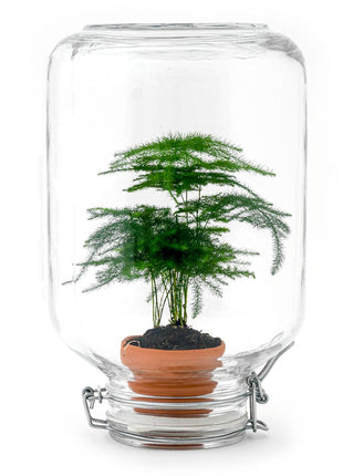 Easyplant - Zelfvoorzienende Kamerplant in Gesloten Ecosysteem