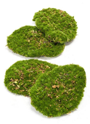 Mosplaat – Groen mos – Set van 4 – Kunstmos